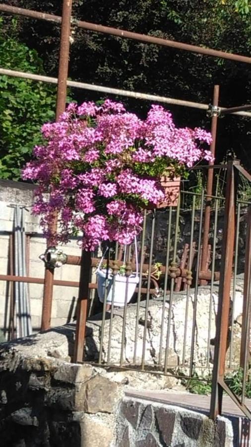 Maison De Marina B&B Piano di Follo ภายนอก รูปภาพ